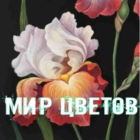 МИР ЦВЕТОВ Международная выставка-конкурс современного искусства