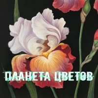 ПЛАНЕТА ЦВЕТОВ Международный выставка-конкурс современного искусства о цветах